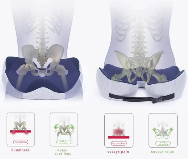 Sciatica Relief Seat Cushion