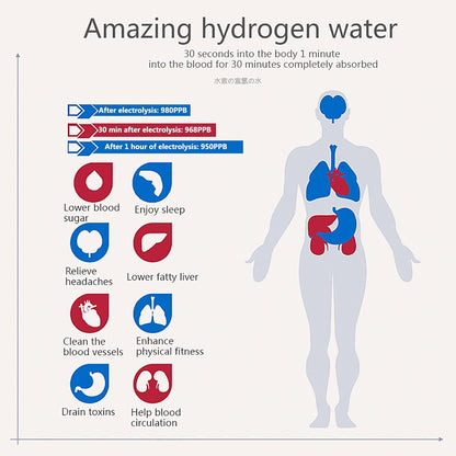 HydroBurst Hydrogen Generator Water Bottle